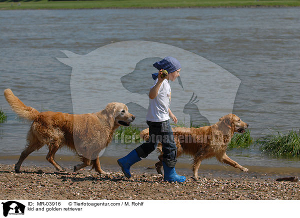 Kind und Golden Retriever / kid and golden retriever / MR-03916