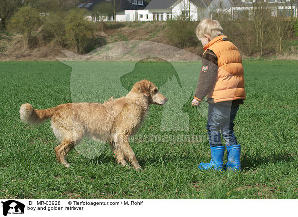 Junge und Golden Retriever / boy and golden retriever / MR-03928