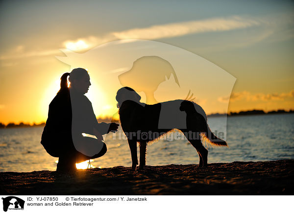 Frau und Golden Retriever / woman and Golden Retriever / YJ-07850