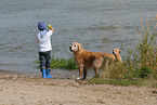 kid and golden retriever