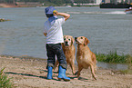 kid and golden retriever