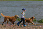 kid and golden retriever