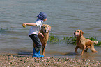 kid and golden retriever