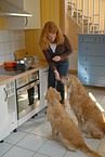 woman and golden retriever