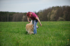 Golden Retriever at Dogdance