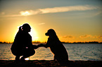 woman and Golden Retriever