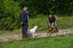 Golden Retriever at character testing