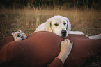 pregnant woman with Golden Retriever