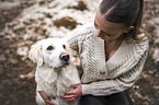 female Golden Retriever