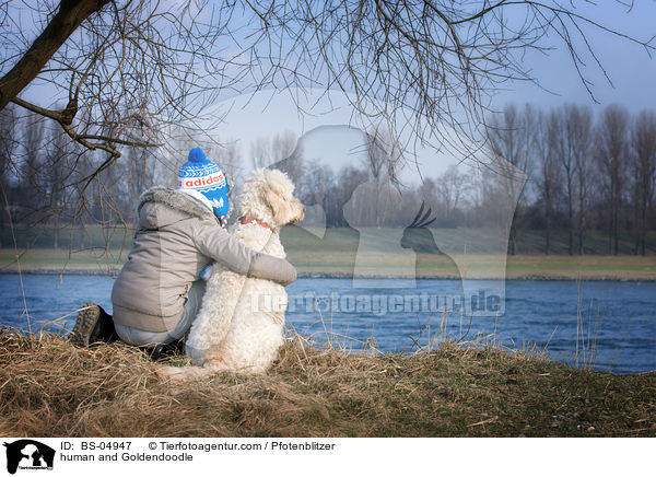 Mensch und Goldendoodle / human and Goldendoodle / BS-04947
