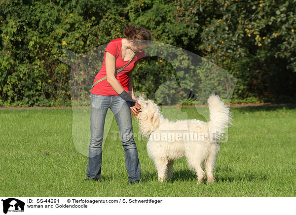 Frau und Goldendoodle / woman and Goldendoodle / SS-44291