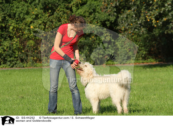 Frau und Goldendoodle / woman and Goldendoodle / SS-44292