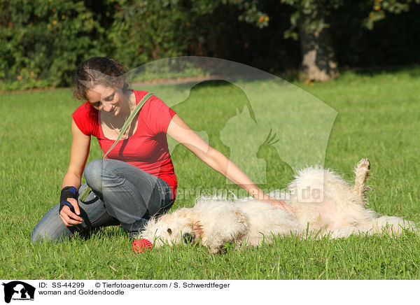 Frau und Goldendoodle / woman and Goldendoodle / SS-44299
