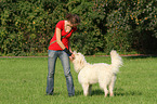 woman and Goldendoodle
