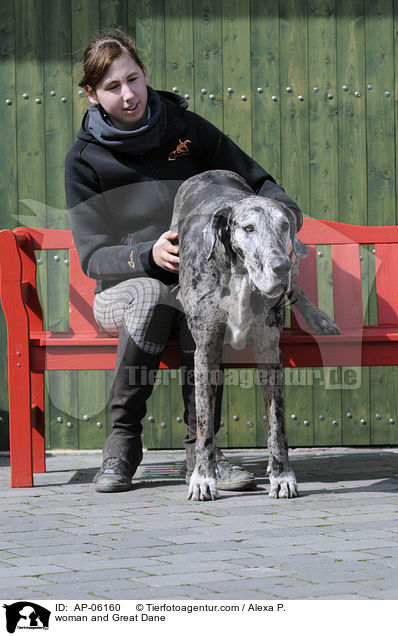 Frau und Deutsche Dogge / woman and Great Dane / AP-06160
