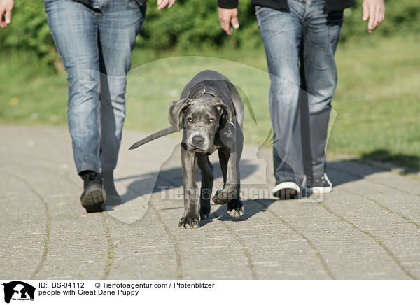 Menschen mit Deutsche Dogge Welpe / people with Great Dane Puppy / BS-04112