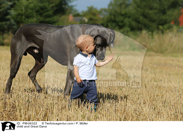Kind und Deutsche Dogge / child and Great Dane / PM-06322