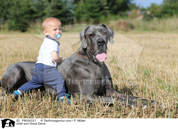 Kind und Deutsche Dogge / child and Great Dane / PM-06331