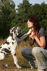 Great Dane gives paw