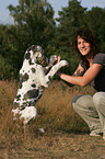 Great Dane and woman