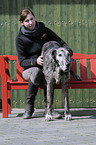 woman and Great Dane