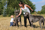 woman, child and Great Danes
