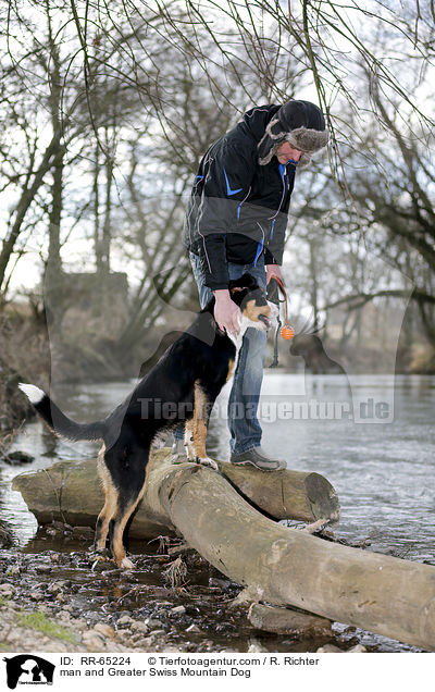 Mann und Groer Schweizer Sennenhund / man and Greater Swiss Mountain Dog / RR-65224