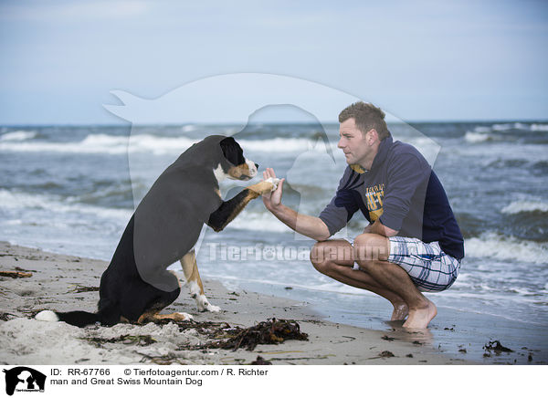 Mann und Groer Schweizer Sennenhund / man and Great Swiss Mountain Dog / RR-67766
