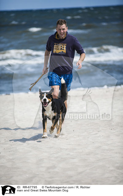 man and Great Swiss Mountain Dog / RR-67795