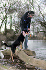 man and Greater Swiss Mountain Dog
