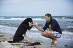 man and Great Swiss Mountain Dog