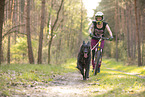 Groenendael
