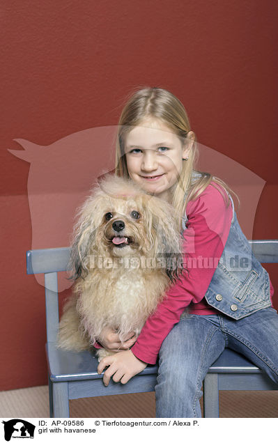 Mdchen mit Havaneser / girl with havanese / AP-09586