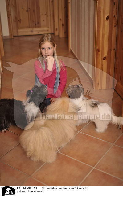 Mdchen mit Havaneser / girl with havanese / AP-09611