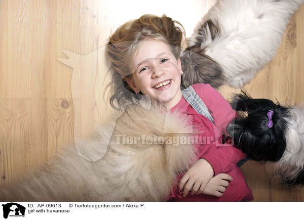 Mdchen mit Havaneser / girl with havanese / AP-09613