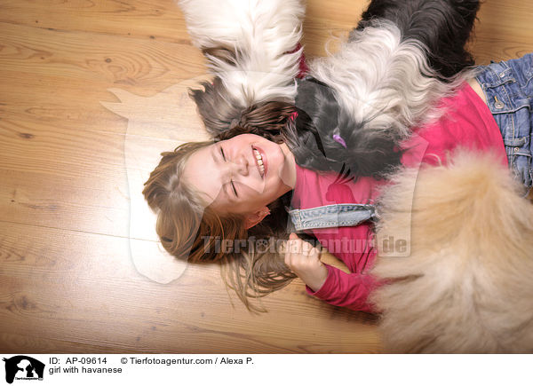 Mdchen mit Havaneser / girl with havanese / AP-09614