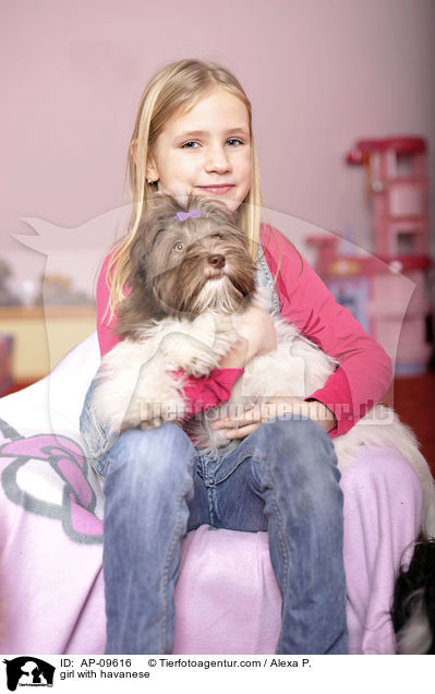 Mdchen mit Havaneser / girl with havanese / AP-09616