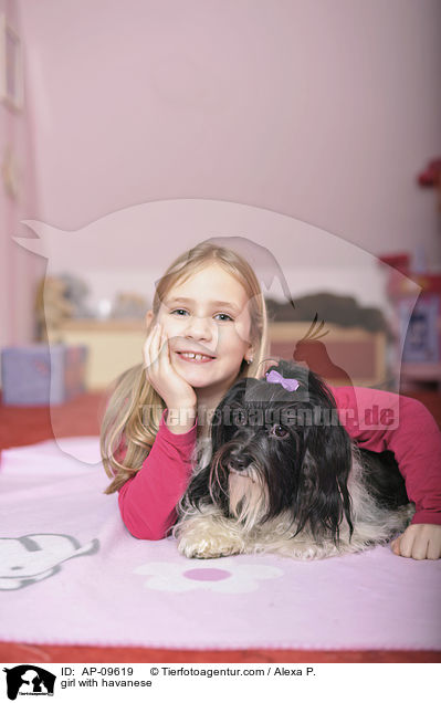 Mdchen mit Havaneser / girl with havanese / AP-09619