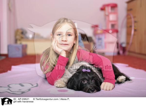 Mdchen mit Havaneser / girl with havanese / AP-09621