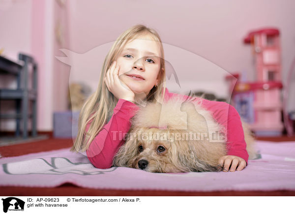 Mdchen mit Havaneser / girl with havanese / AP-09623