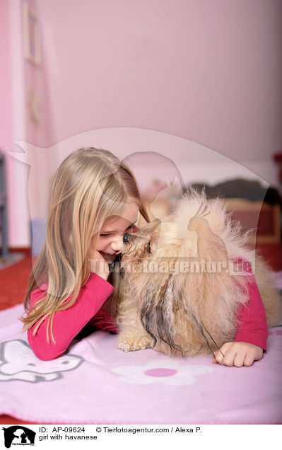 Mdchen mit Havaneser / girl with havanese / AP-09624