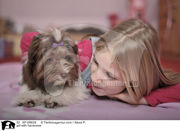 Mdchen mit Havaneser / girl with havanese / AP-09628
