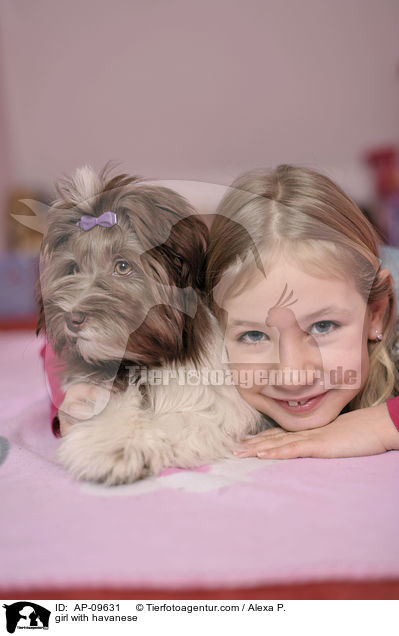Mdchen mit Havaneser / girl with havanese / AP-09631