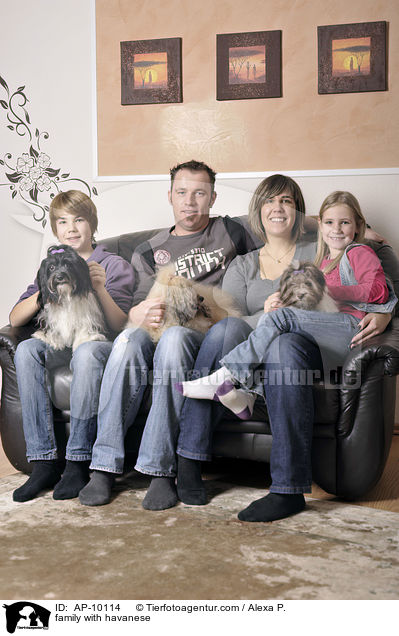 Familie mit Havaneser / family with havanese / AP-10114