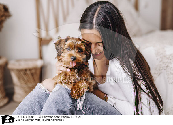 junge Frau mit jungem Havaneser / young woman with young havanese / LR-01084