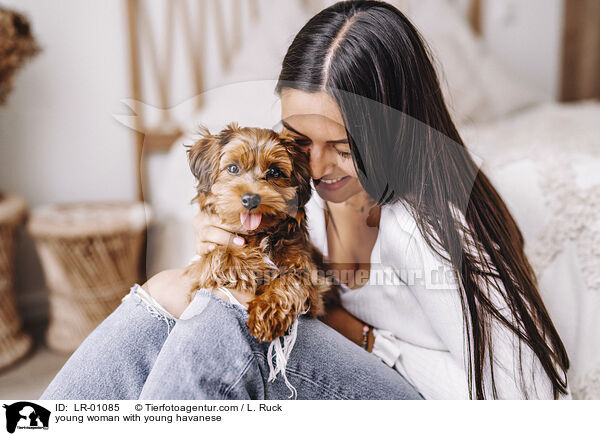 junge Frau mit jungem Havaneser / young woman with young havanese / LR-01085