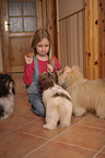 girl with havanese