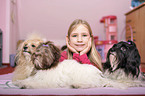 girl with havanese