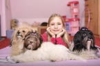 girl with havanese