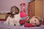 girl with havanese